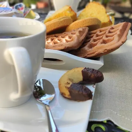 L'ajaccio *