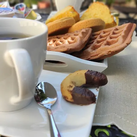L'ajaccio